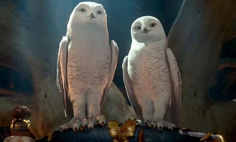 Hộ Vệ Xứ GaHoole - Legend Of The Guardians: The Owls Of Ga'Hoole